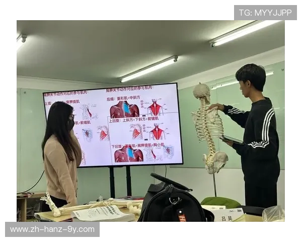 提升运动表现与健康管理相结合的全方位训练方案探讨与实践