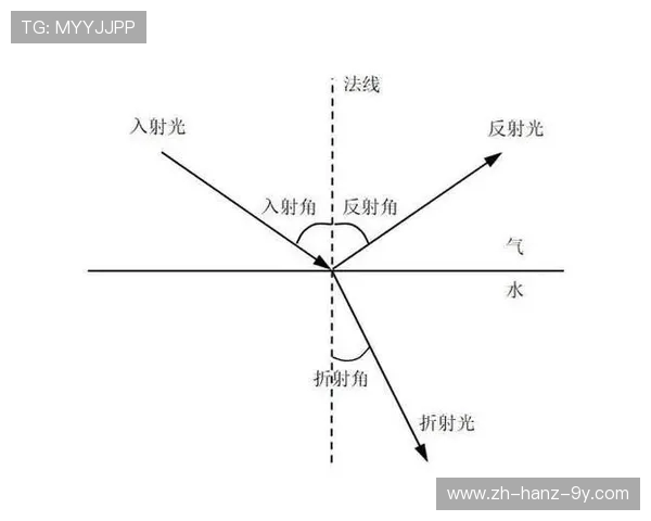深入探讨上海乒乓球队的配合策略与技术优势对比分析 深入探讨上海乒乓球队的配合策略与技术优势对比分析