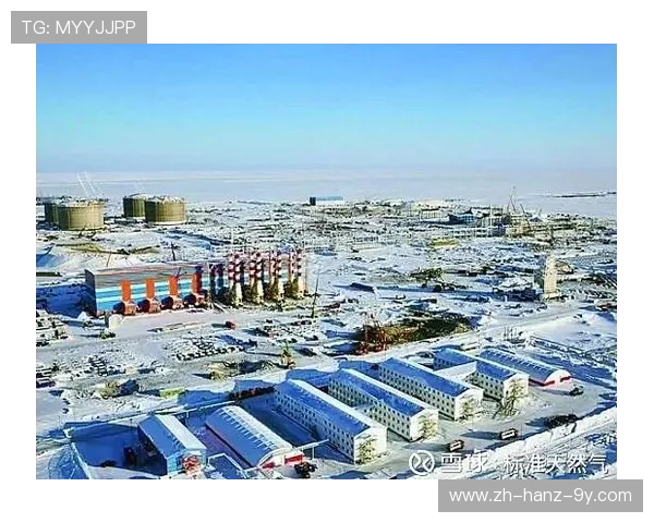 亚马尔地区的资源开发与国际合作前景分析及其对全球能源格局的影响