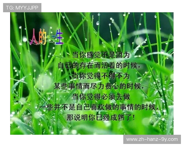 何思雨的心灵旅程与人生哲学探索之路