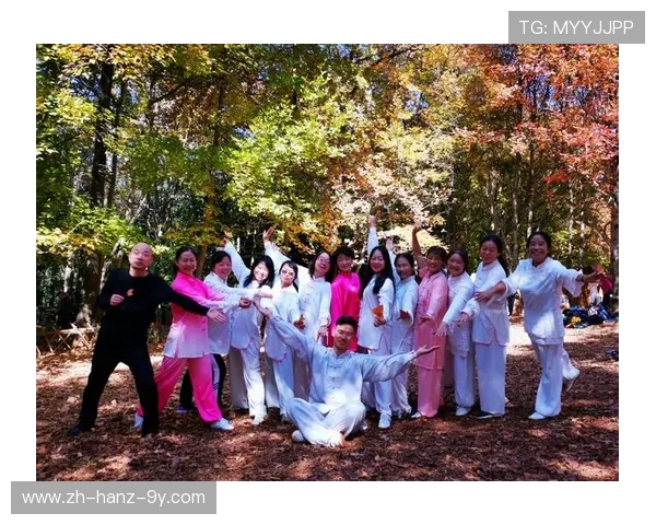 冰岛与北爱决战结果揭晓精彩瞬间回顾与分析